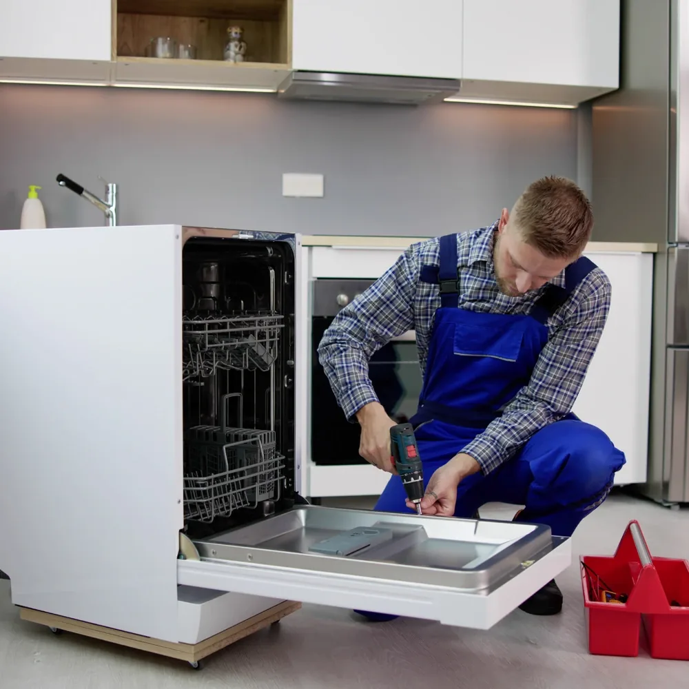 Dishwasher — photo 3